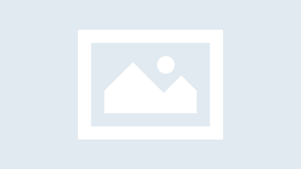 The “Tempus” Client Persona Plan